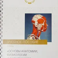 Анатомия, физиология и биомеханика человека