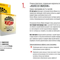 Колесо жизни