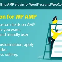 WP AMP ACF Add-on