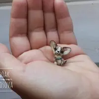 Школа миниатюрной игрушки