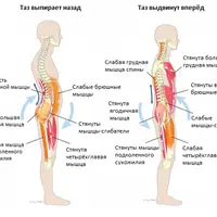 Атмарама йога - Фундамент