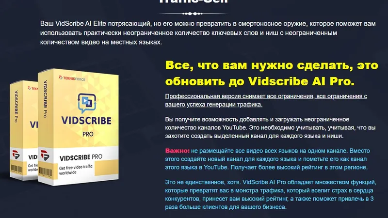 VidScribe Pro Yearly - программа для быстрого продвижения в youtube