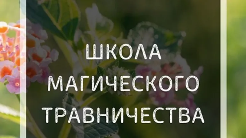 Школа магического травничества