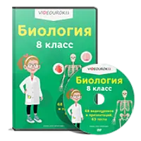 Биология 8 класс