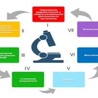 Ежедневные, обязательные мероприятия