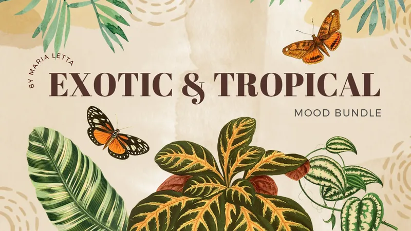 Набор для творчества Exotic & Tropical