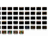 Набор наложений для фотографий: Новогодние оверлеи