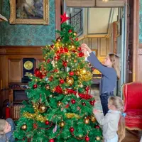 Новогодний стол