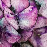 Интенсив PROосень