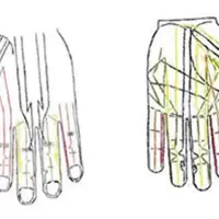 Бёль-меридианы (вебинар № 3)