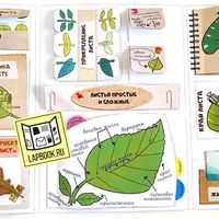 Лэпбук "Листья"