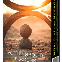 Устойчивость в жизни