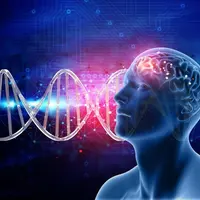 Эволюция мозга. 1 семестр