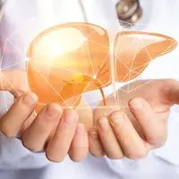 Печень — фундамент здоровья