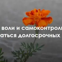 Сила воли и самоконтроль: как добиваться долгосрочных целей