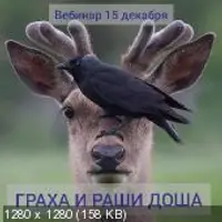 Граха доша и Раши доша