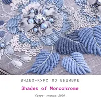 Shades of Monochrome