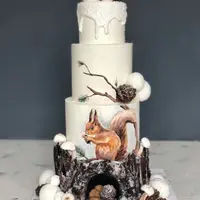 Торт Зимняя сказка