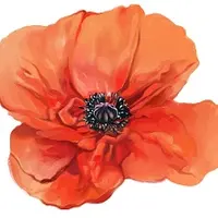 Здоровый таз