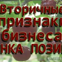 Вторичные признаки бизнеса. Оценка позиции