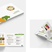 Adobe Illustrator online