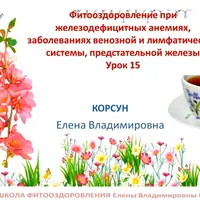 Фитооздоровление при железодефицитных анемиях, заболеваниях венозной и лимфатической системы, предстательной железы