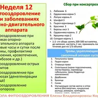 Фитооздоровление при заболеваниях опорно-двигательного аппарата