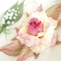 Somebana: Мастерский курс