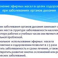 Органы дыхания, синуситы, аденоиды