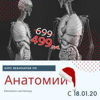 Курс вебинаров по анатомии человека