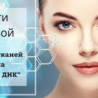 Восстановление тканей и органов тела через активацию ДНК