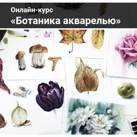 Ботаника акварелью