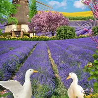 Фотошаблон "На лавандовом поле"