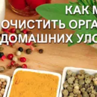 Как мягко очистить организм в домашних условиях