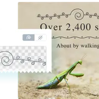 SVG Divider for Elementor