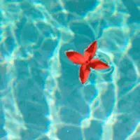 Проход в царство дэвов и ангелов