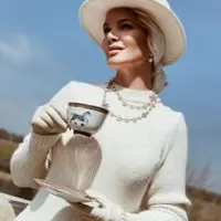 Элегантный флирт