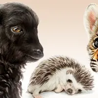 Базовый курс анималистики