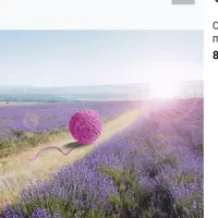 Практикум Предназначение