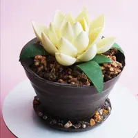 Шоколадный горшочек с лотосом и трюфелями внутри