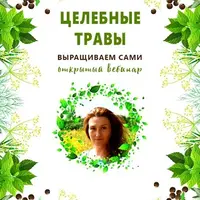 Целебные травы. Выращиваем сами