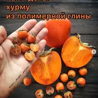 Мастер-класс по изготовлению хурмы целой и хурмы в разрезе