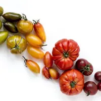 Марафон «Краски лета»