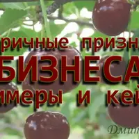 Вторичные признаки бизнеса. Примеры и кейсы