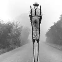 Переводчик, скажи, дружочек