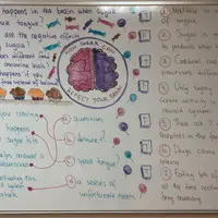 Effective Board Work