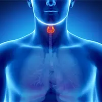 Возможности Су Джок терапии в эндокринологии. Занятие № 6