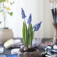 Мускари из холодного фарфора