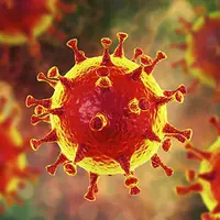 Короновирус - очень тяжелое Ничто