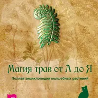Магия трав от А до Я. Зельеварение. Рецепты богатства, удачи, успеха